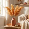 Künstliches Pampasgras orange 35 cm en lot de 4 | Floristik24.fr