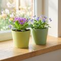 Pots miniatures en papier avec doublure, bleu-vert et vert clair, Ø9 cm H7,5 cm, lot de 4 | Floristik24.fr