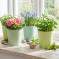 Pots en papier avec doublure plastique bleu et vert Ø11cm H10cm - Lot de 4 | Floristik24.fr