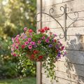 Porte-plante mural en métal style vintage H30cm x P28,5cm | Floristik24.fr