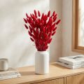 Herbe de Lagurus séchée rouge 60 cm 50 g pour décoration intérieure | Floristik24.fr