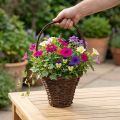 Corbeille tressée avec anse pour plantes Ø24 x H18 cm | Floristik24.fr