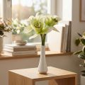Orchidée Artificielle avec Vase Blanc/Vert 28 cm | Floristik24.fr