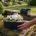 Bol coeur décoratif en plastique anthracite 24/21cm lot de 2 | Floristik24.fr