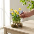 Coupe en verre recyclé transparente pour décoration Ø16cm H8cm | Floristik24.fr