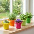 Lot de 10 cache-pots colorés en plastique, Ø10,5 cm | Floristik24.fr