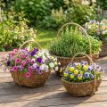 Panier en osier naturel avec film plastique – Lot de 3 tailles | Floristik24.fr