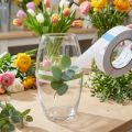 Ruban adhésif double face transparent Oasis® 25 mm x 25 m | Floristik24.fr
