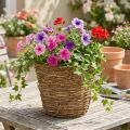 Panier à plantes grimpantes Ø25cm H22,5cm, pot de fleurs naturel | Floristik24.fr