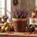 Ruban en Vlies marron 8 cm x 25 m pour décoration | Floristik24.fr