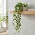 Echeveria plante artificielle suspendue verte 50 cm | Floristik24.fr