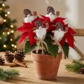 Set de 12 piques décoratives lutins de Noël en bois 6 x 7 cm | Floristik24.fr