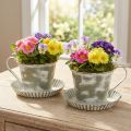 Coupe décorative en métal blanchi antique Ø9cm H8cm 2pcs | Floristik24.fr