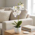 Orchidée artificielle blanche avec pot en céramique 33 cm | Floristik24.fr