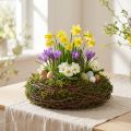 Coupe décorative ronde en branches et mousse avec intérieur en plastique, Ø20 cm | Floristik24.fr