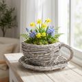 Déco tasse en bois tressé style rustique avec soucoupe - Blanc et gris - 13 cm | Floristik24.fr