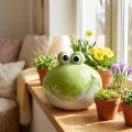 Figurine Grenouille en