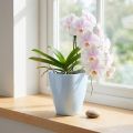 Pot pour orchidées en plastique blanc brillant Ø12,5 cm | Floristik24.fr