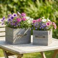 Pots de plantation en bois style tiroirs gris lavé 15×15cm/12×12cm - Lot de 2 | Floristik24.fr