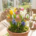 Ensemble de 12 Piques Décoratives Lapin en Bois avec Œufs Suspendus - 8,5 cm | Floristik24.fr