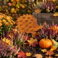 Décoration de Jardin Hérisson en Métal Rouillé 20 cm | Floristik24.fr