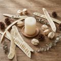 Écorces naturelles blanchies 25 pièces – Décoration exotique | Floristik24.fr