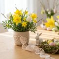 Ruban en Velours Décoratif Motif Œufs de Pâques Crème 40 mm x 5 m | Floristik24.fr