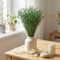 Flachs séché vert 50–55 cm – Décoration et créations DIY | Floristik24.fr