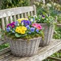 Panier à plantes vintage en osier, Ø 25 cm, H 21 cm, gris/blanc, lot de 2 | Floristik24.fr