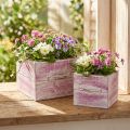 Set de 2 Cache-pots en Bois avec Poignée Vintage, Rose et Blanc | Floristik24.fr