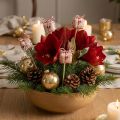 Décorations sur Piques Noël en Jute - Paquet Cadeau 2,5 cm - Lot de 15 | Floristik24.fr