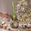 Vase décoratif en verre lanterne verre clair Ø18cm H20cm | Floristik24.fr