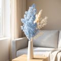Fleurs séchées d'asperge plume couleur bleu clair 55-70 cm | Floristik24.fr