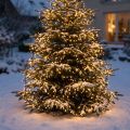 Guirlande lumineuse LED 720 lumières blanc chaud pour extérieur, longueur 57m | Floristik24.fr