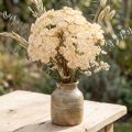 Fleurs artificielles Achillea crème 30 cm - Lot de 6 | Floristik24.fr