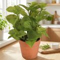 Plante artificielle menthe en pot, 18 cm, lot de 2 | Floristik24.fr