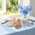 Lot de Coquillages et de Coquilles de Mer Naturels - 350g × 3 Filets | Floristik24.fr