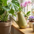 Arrosoir d’intérieur rétro en plastique vert olive 1,8L | Floristik24.fr