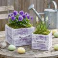 Set de 2 bacs à plantes carrés en bois avec poignée violet et blanc | Floristik24.fr