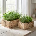 Pots rectangulaires en bois naturel avec écorce et doublure transparente – Lot de 2 | Floristik24.fr