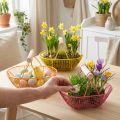 Panier en métal avec poignée en bois 17 cm – Lot de 6 | Floristik24.fr