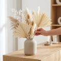 Mini Palm Spear blanchi 30 pièces | Floristik24.fr