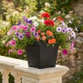 Pot à plantes carrée "Nora" 23x23 cm anthracite en plastique | Floristik24.fr