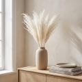 Silbergras séché blanc – Décoration naturelle 70 cm (Lot de 10) | Floristik24.fr