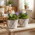 Lot de 2 pots déco en écorce de bouleau blanchie Ø18cm H15cm | Floristik24.fr
