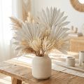 Mini feuilles de palmier blanchies 12-15 cm - Lot de 50 | Floristik24.fr
