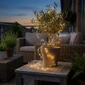 Guirlande lumineuse LED fil guirlande lumineuse minuterie extérieur 180cm | Floristik24.fr