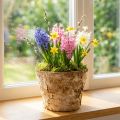 Cache-pot rond en écorce de bouleau Ø12cm H10cm (Lot de 5) | Floristik24.fr
