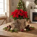 Pots décoratifs en bois avec écorce de bouleau et étoile 15,5 cm | Floristik24.fr