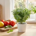 Lot de 12 tiges de menthe artificielle verte 25 cm | Floristik24.fr